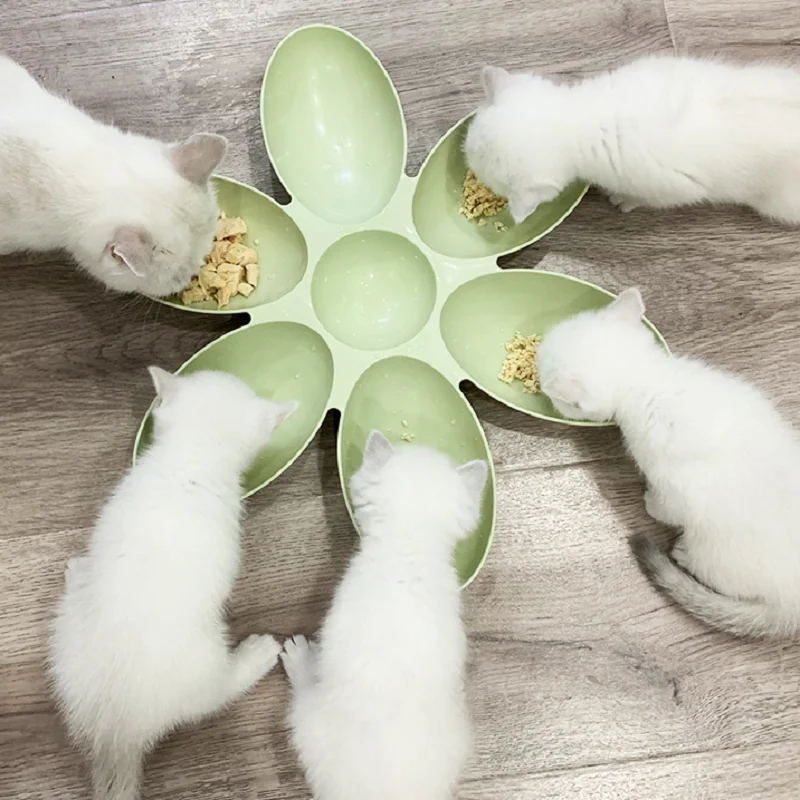 

6 In 1 Pet Bowls Food Feeder Small Dog Water Bottle Anti Choke Dog Bowl Puppy Cat Slow Down Eatting Feeder Healthy Diet Dish