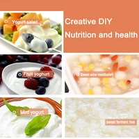 Commercial 12L Yogurt Fermentation Machine 110V 220V Fermentation Pot for Yogurt Natto Wine Vinegar 2