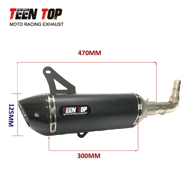 Vespa　ベスパ　GTS250 GTV250　車外マフラー　スリップオン ベスパgts250 マフラー（バイク） | 車、バイク、自転車 の