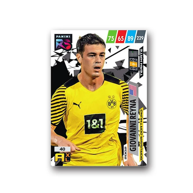 Panini – carte de Collection Star de Football, 2022 cartes de fans, boîte,  nouveauté - AliExpress