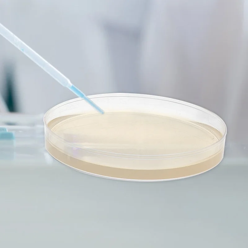 10pcs Pre-Poured Agar Plates Labs Petri Dishes with Agar General Growth /Medium Laboratory Plants Cell Tissue Petri Dishes