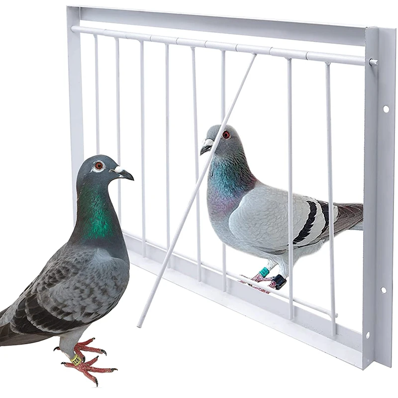 Pigeon Entrance Door Cage Metal Wire Bars Frame Single Entrance Trapping Doors for Bird Cages