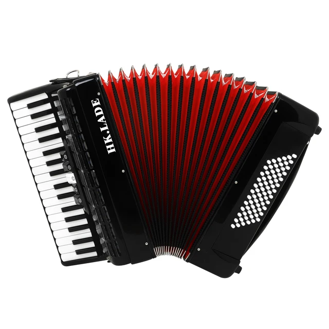 クラシックデザインロシア製34鍵盤80ベース整備済ハードケース付