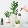 2/4Pcs 500ml Automatic Plant Watering Bulbs Drip Irrigation Stakes Insert Flowers Self Watering Globes Style Indoor Flower 2