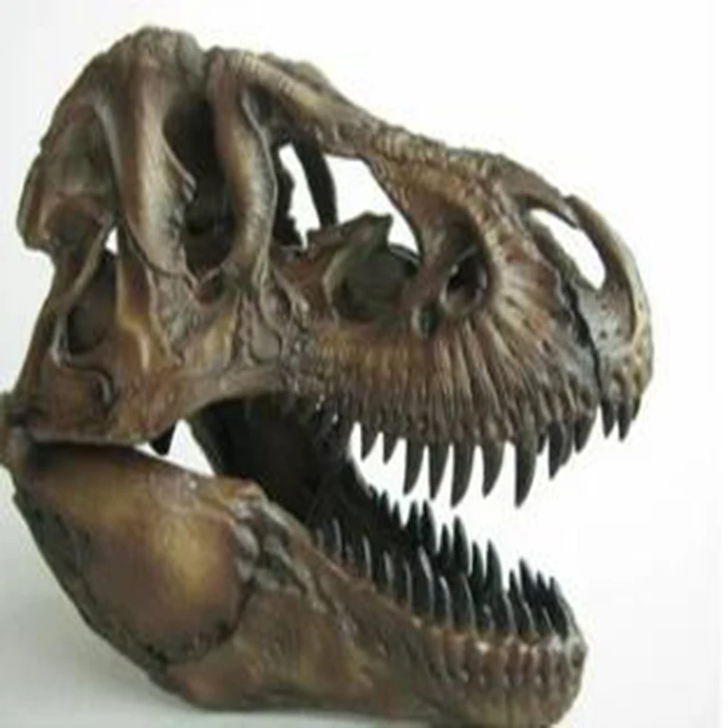 

Crafts Arts Crafts 1/12 Tyrannosaurus Rex Dinosaur Skull Handicrafts Resin Fossil Simulation Skull Model For Collectibles