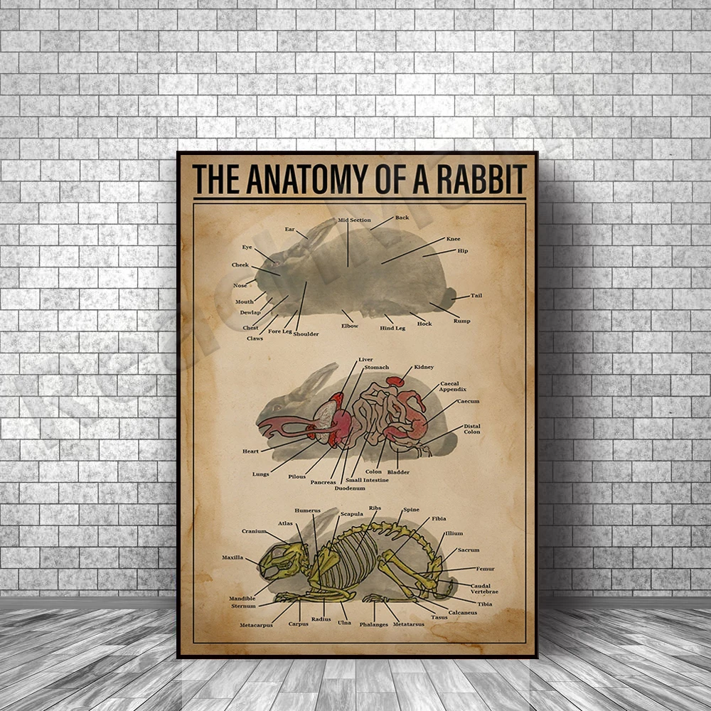 

Картина на холсте с рисунком кролика