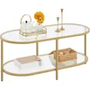 Coffee Table Oval Gold Glass 2-Tier Coffee Table, 42-Inch,   With Storage Shelves and Metal Frame,Living Room Coffee Table 6