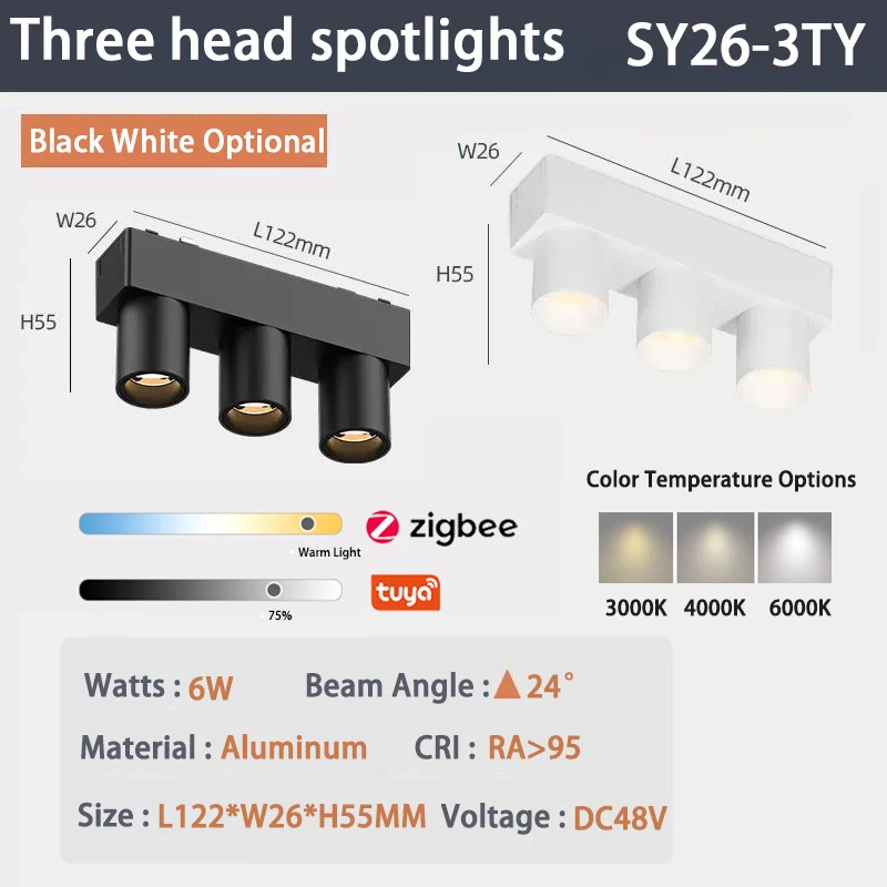 6W Three Spotlight