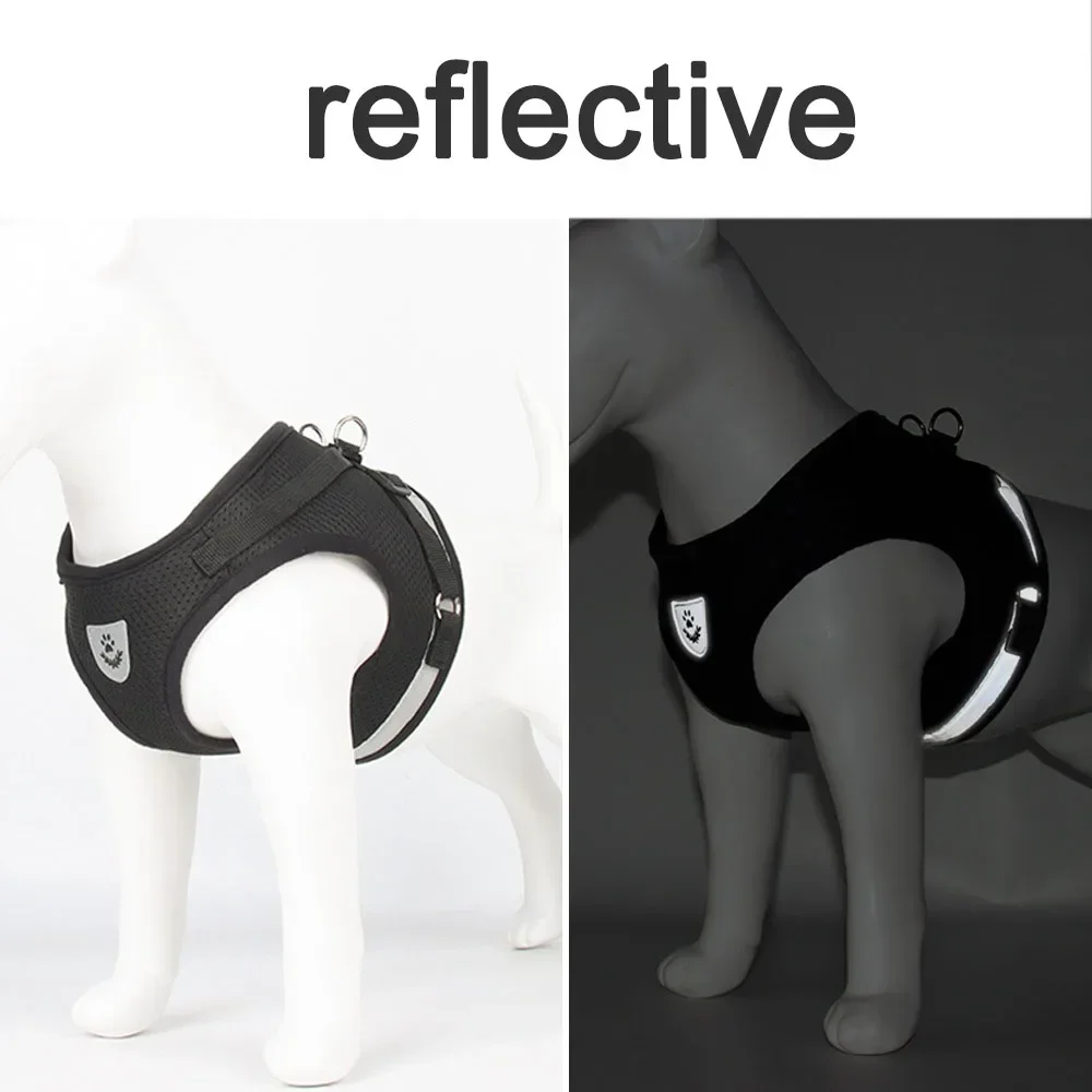 Reflective Escape-Proof Cat Harness Set 4