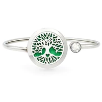 25MM 316L Stainless Steel Aromatherapy Bracelet Essential Oil Diffuser Perfume Locket Bangle Jewelry Free 10Pads 2