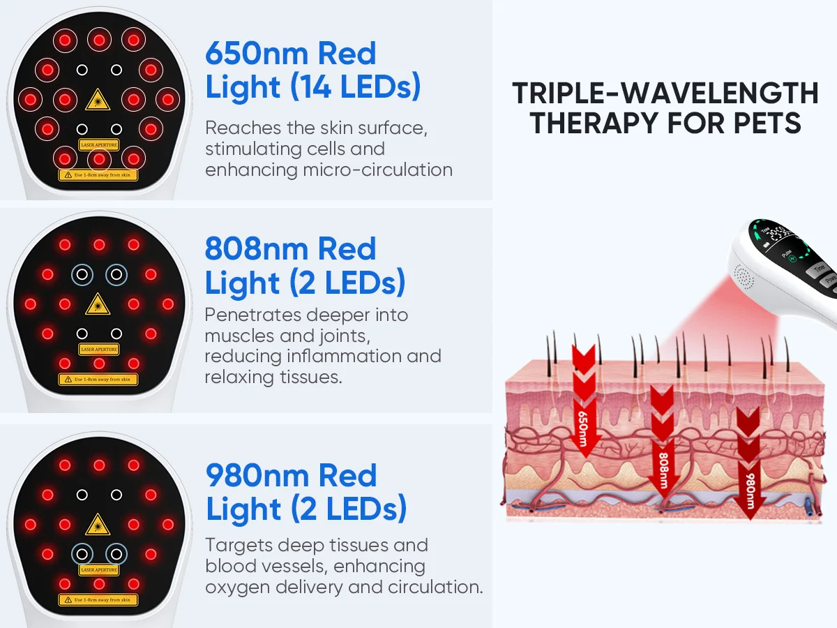 Physiotherapy Instrument Cold Near Infrared Light Therapy Device Fast Recovery T