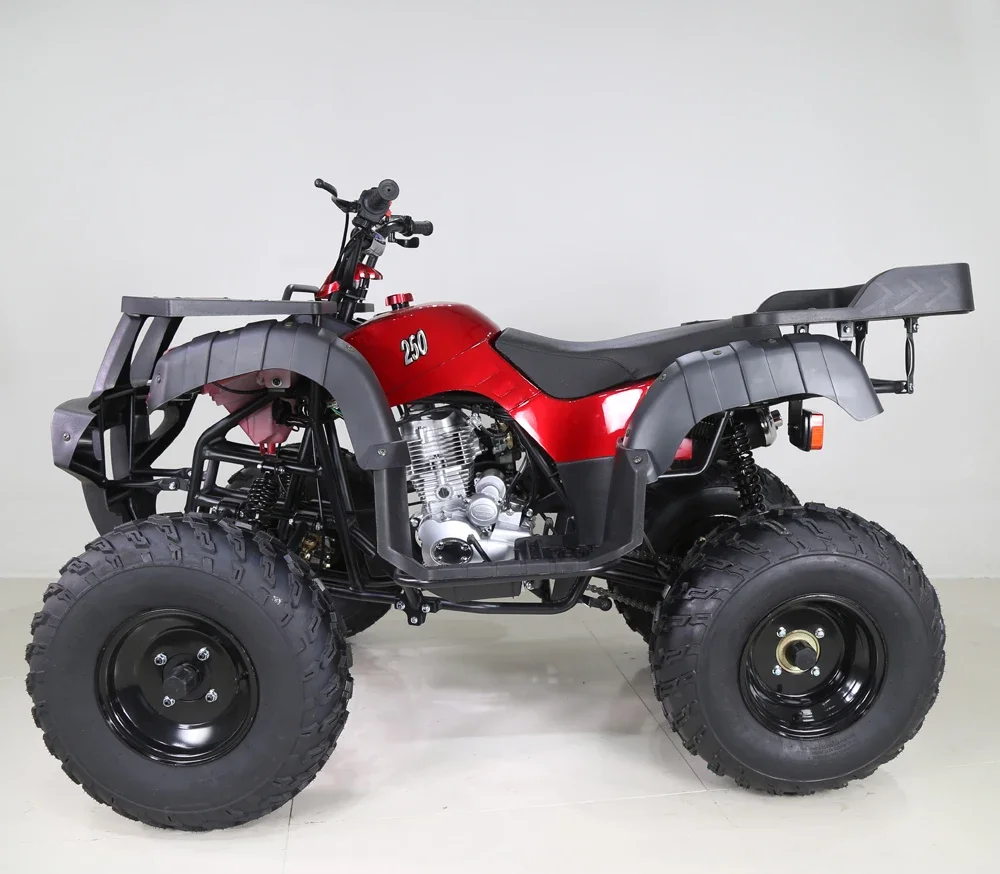 Рисунок 2 - Tao Motor ATA250-D2 ATV QUAD 250cc