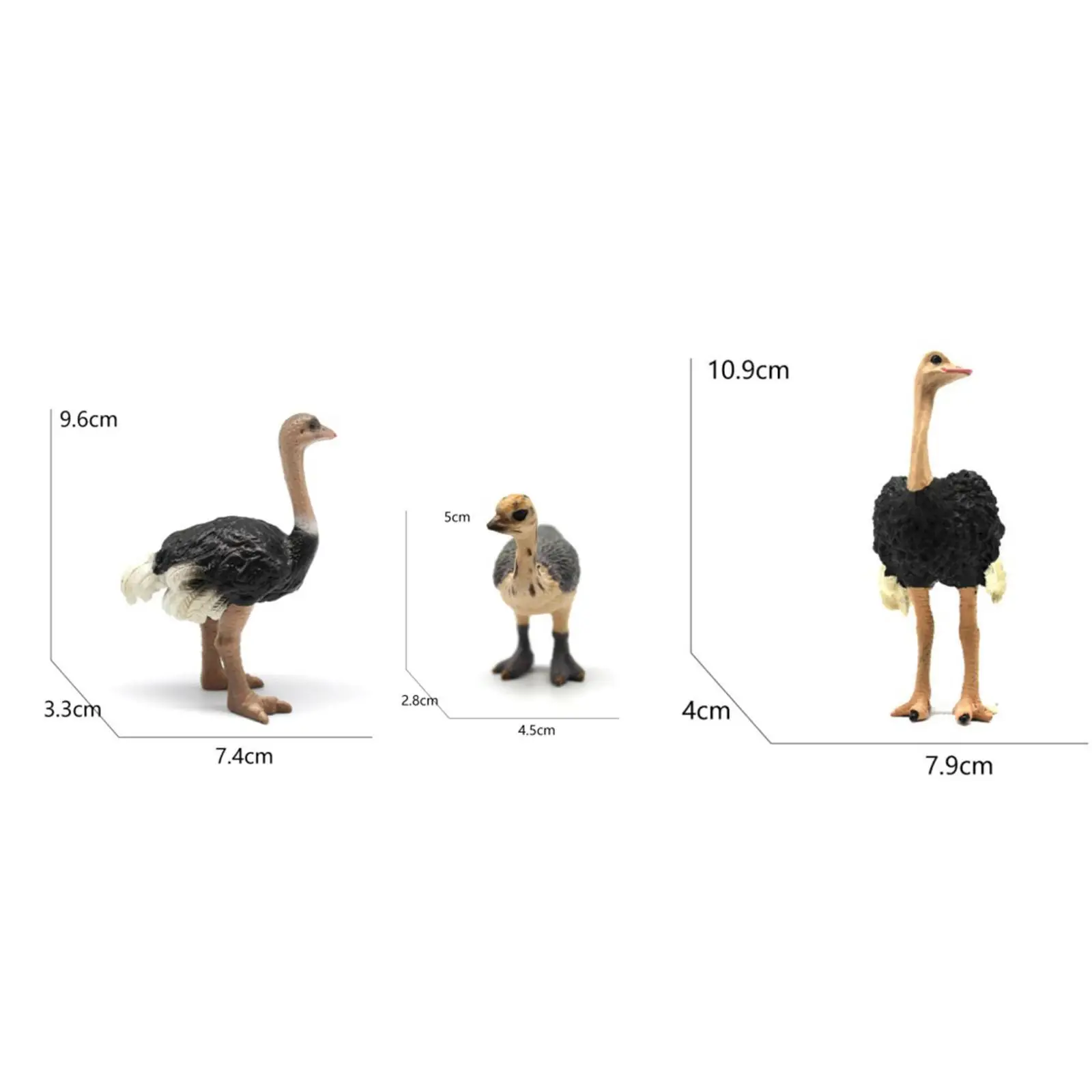 Set of 3 Bird Figurines for Home Decor, Wildlife Models for Table Display