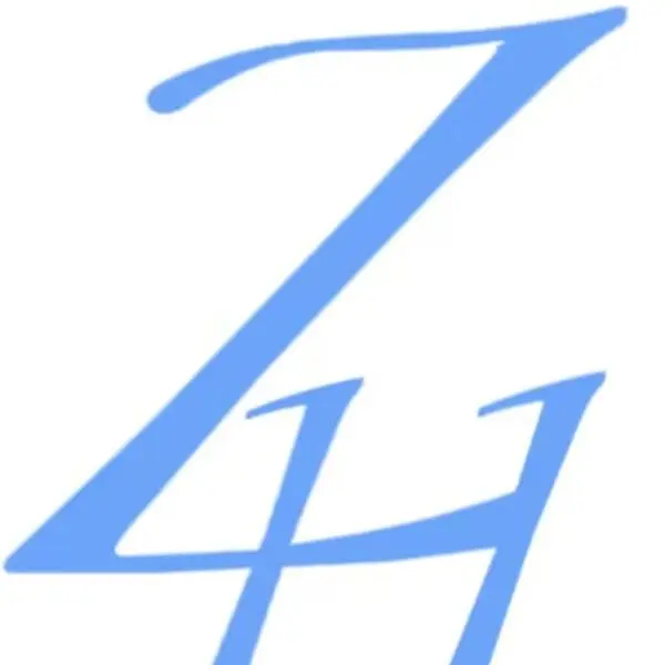 ZH AUTO PARTS Store