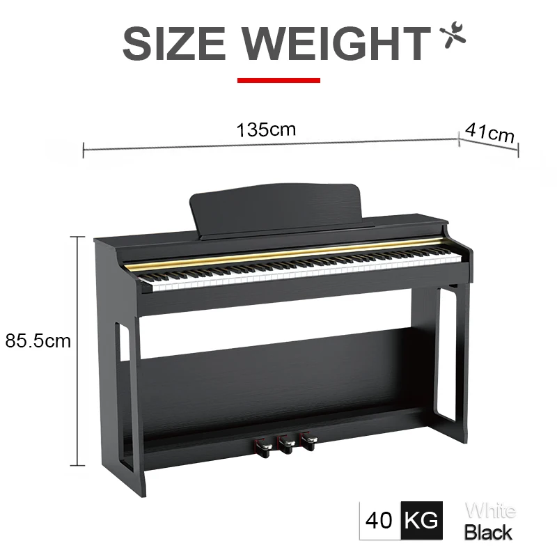 Dinas Standard Weight 88-Keys Digital Piano Musical Keyboard