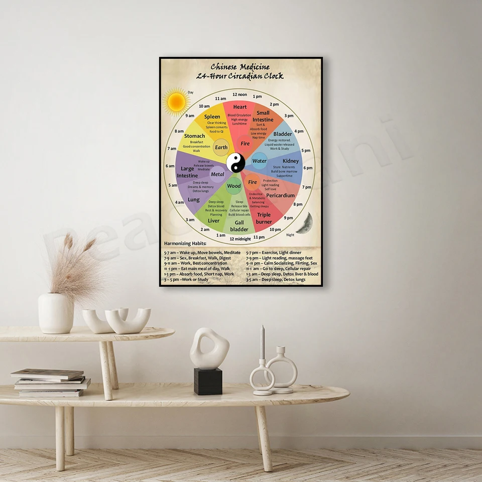 Orologio biologico degli organi della MTC: poster di medicina cinese (download digitale A4/A3) - Italia