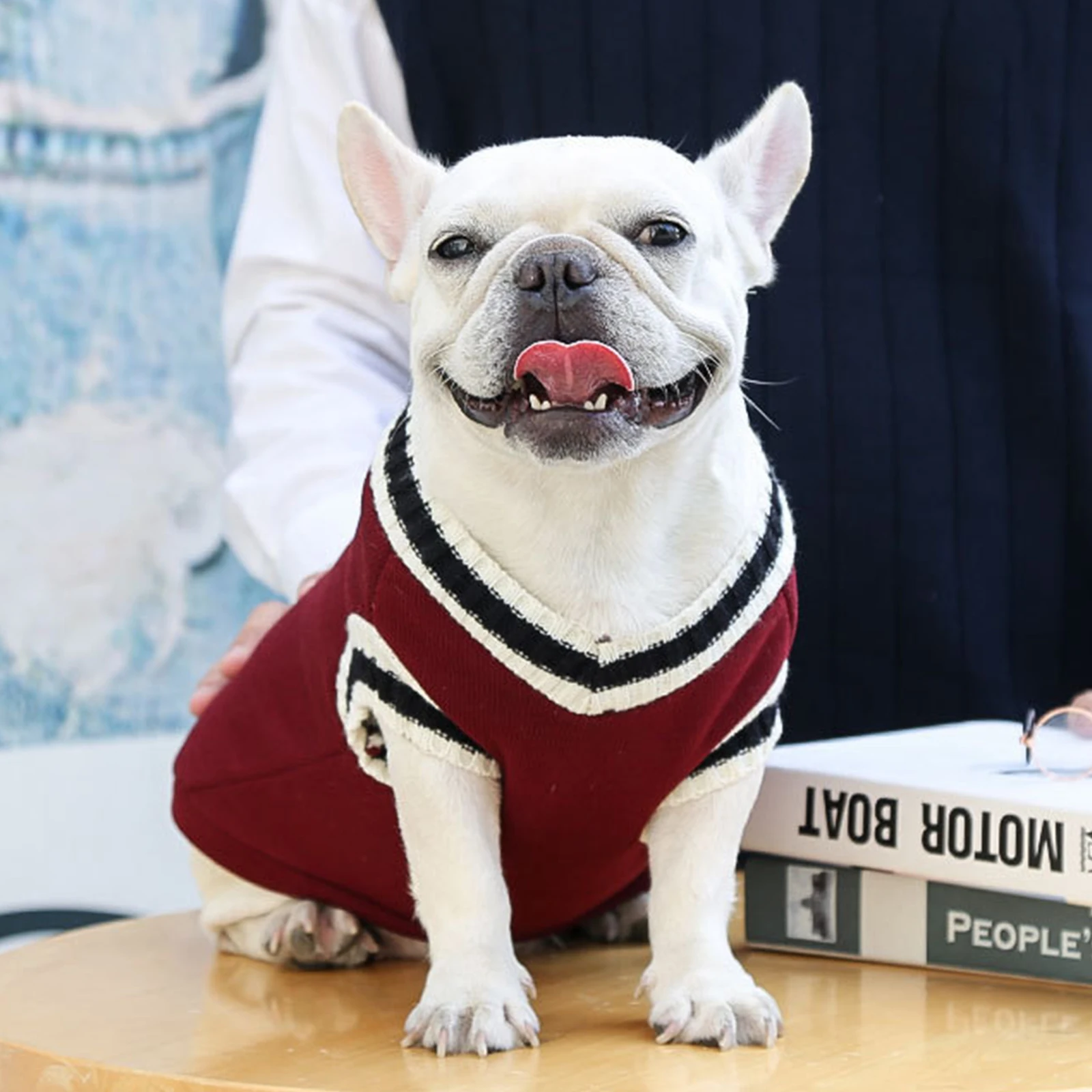 knitted sweaters collegiate dog sweaters