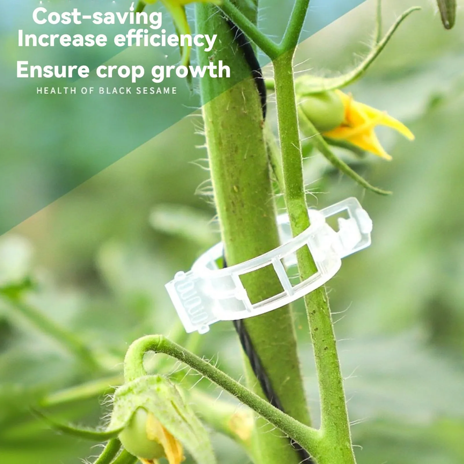 Reusable Garden Clips Plant Support 25mm Transparent PP Vining Clips Tomato Vine for Vertical Gardening Fruits Vegetables