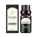 TEA TREE