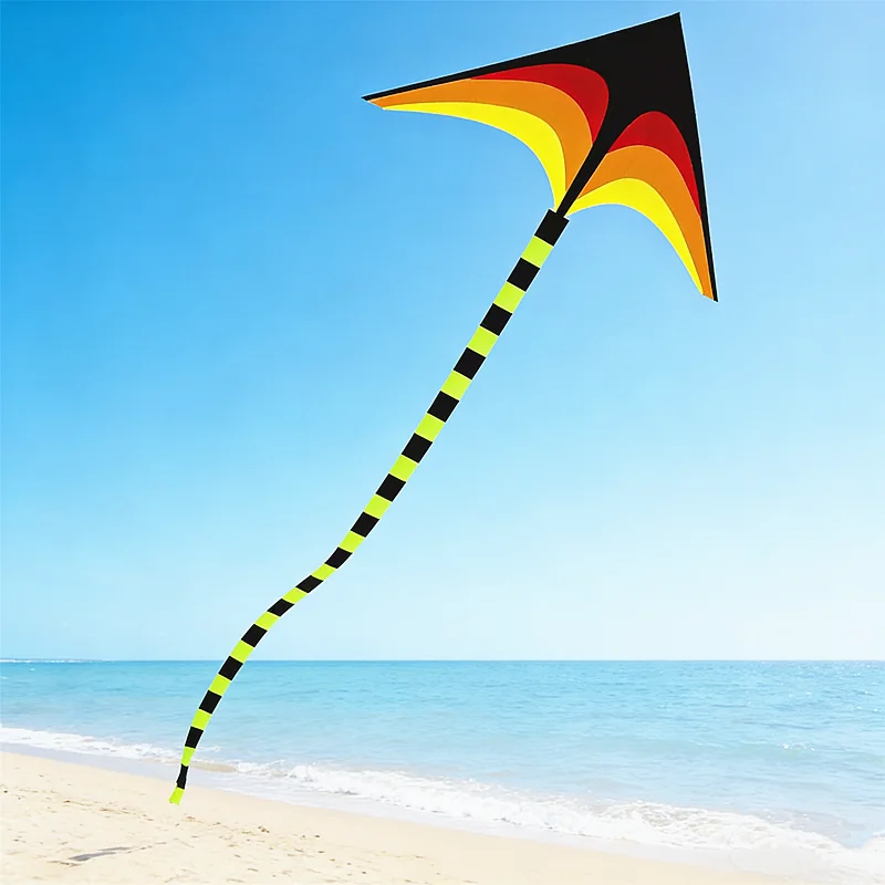1,6 m Delta-Drachen, Winddrachen, Outdoor-Spielzeug für Kinder, Flugdrachen, Sport, Strand, professioneller Drachen, Oktopus-Drachen, Kevlar – Detail 20