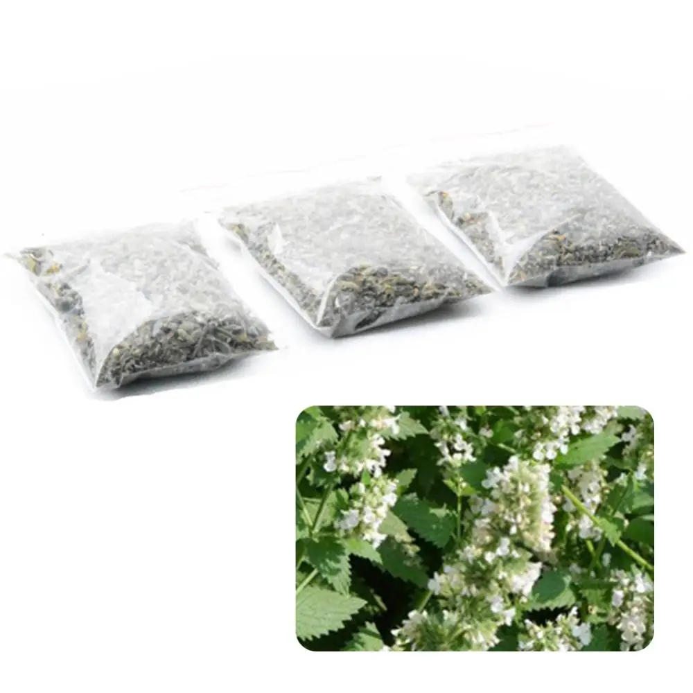 Vendas quentes!!! 1 saco 5g natural sundried catnip ramos de flores deixa gato gatinho healthyed fooded