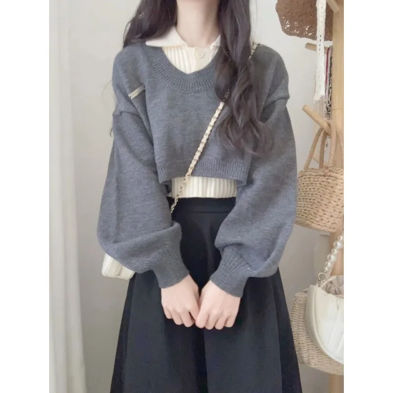 

Короткий женский пуловер в американском ретро-стиле для осени и зимы, Новый Свободный вязаный свитер с топом из двух предметов