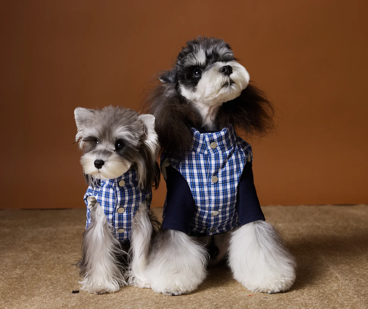 Padded Puppy Cat Clothes With D Rings Winter Warm Dog Jacket for Small Dogs Chihuahua Vest French Bulldog Coat Yorkie Outfits