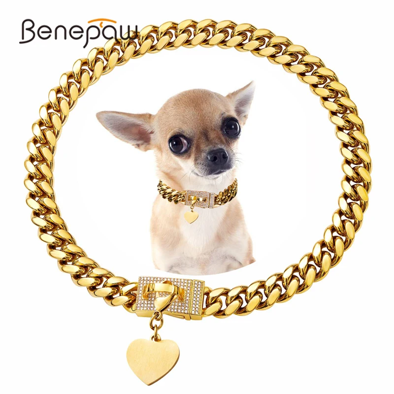 Gold Chain Big Dog Collar Chain Big Dog With Gold Chain Dog Collar