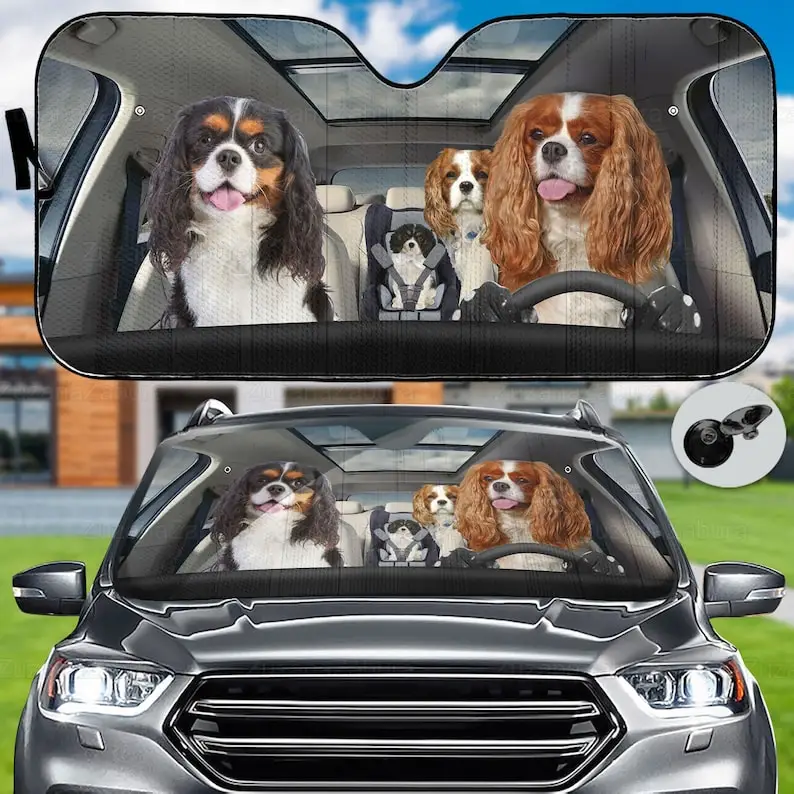 

Автомобильный солнцезащитный козырек Cavalier King Charles Spaniel, солнцезащитный козырек для спаниеля, автомобильный декор для спаниеля, автомобильный солнцезащитный козырек для спаниеля, автомобильный козырек для собак, подарок