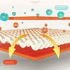 Warm Milk Velvet Bed Sheet Style Thick Comfort Mattress Cover Single Queen King Size Elastic Band Fixed Mattress Protector Decor 2
