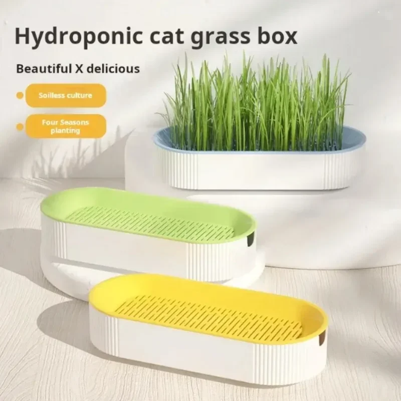 Hydroponic Cat Grass Box Set Soilless Planting Catnip Treats Easy Growth
