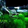 Glass Lily Pipe Mini Inflow Outflow Set Voilet Spin Poppy Jet 10mm 13mm 17mm Tube Inlet Outlet for Aquarium Nano Planted Tank 6