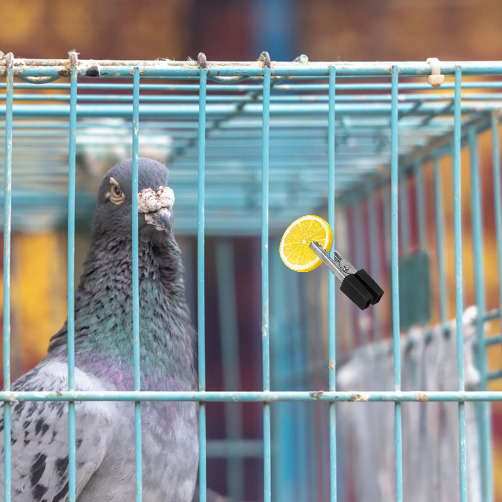 20pcs Bird Cage Safety Clamps Metal Door Locks For Pet Birds Anti ...