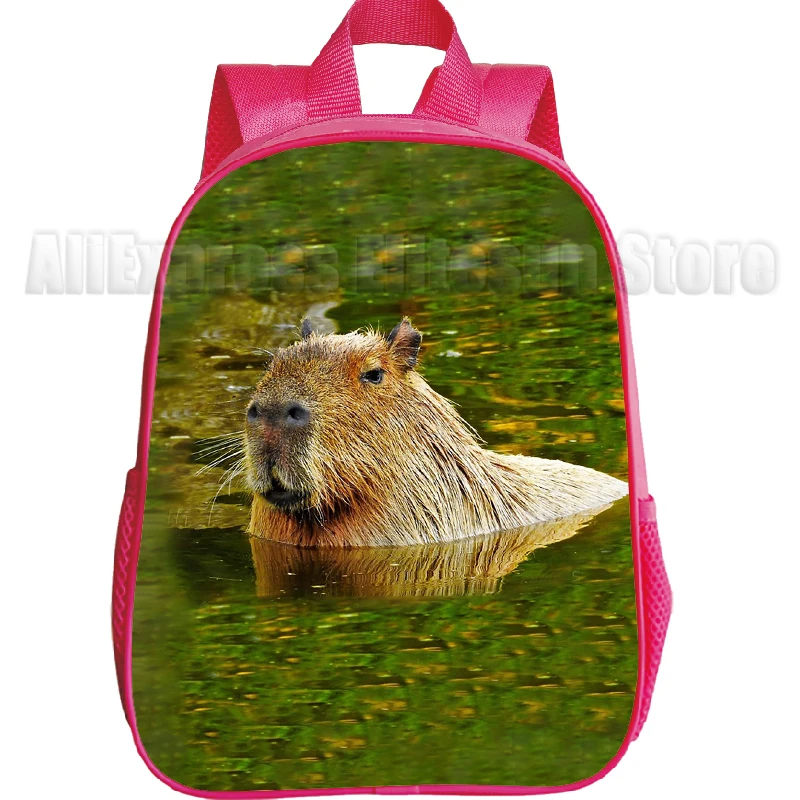 Cartoon Capybara Backpacks for Cute Kindergarten Children's Schoolbag Waterproof Kids Book Mochila Boys Girls Animal Bag 2