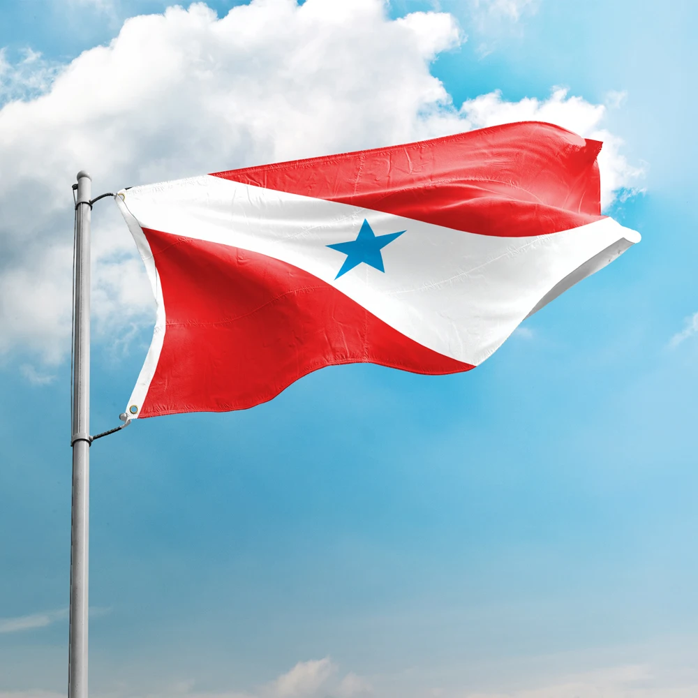 Bandiera do Pará em Emoji: Como Escolher a Bandeira Real que Representa  Autenticamente o Estado?, image size:1000x1000