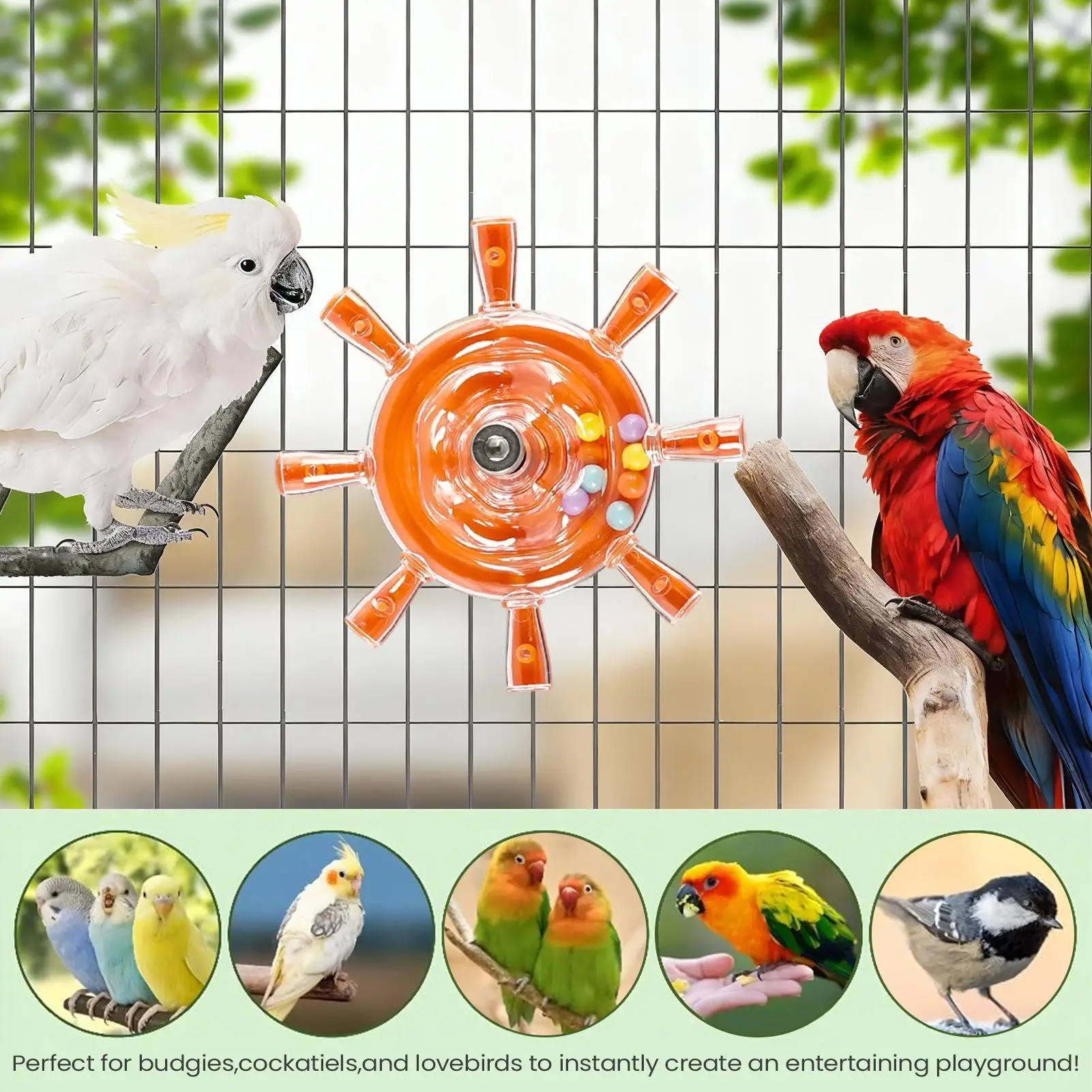Rotating Bird Chew & Spin Toy with Exercise Wheel and Rattle