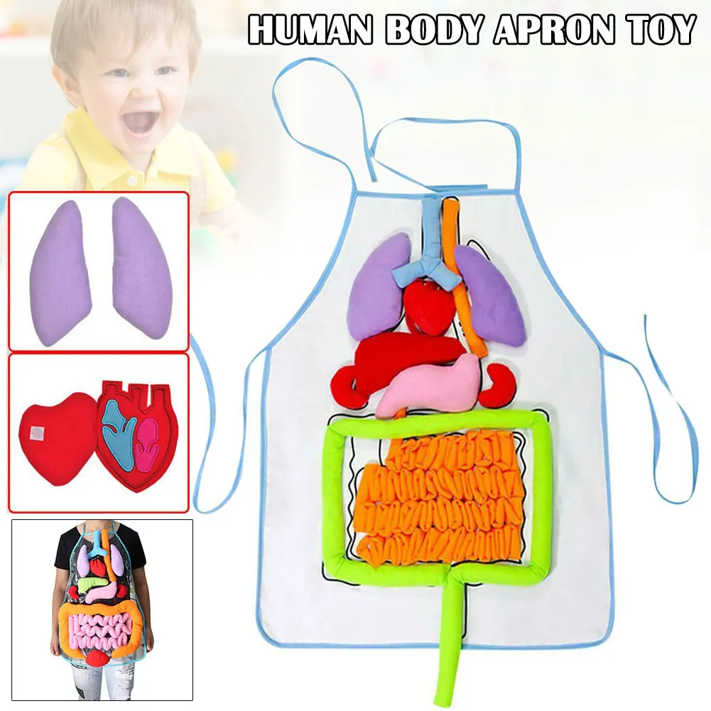 Anatomy Organ Toys Human Body Organs Awareness Model Children Developmental Puzzle Early Learning Aids Body Parts Insights Apron
