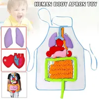 Anatomy Organ Toys Human Body Organs Awareness Model Children Developmental Puzzle Early Learning Aids Body Parts Insights Apron 1