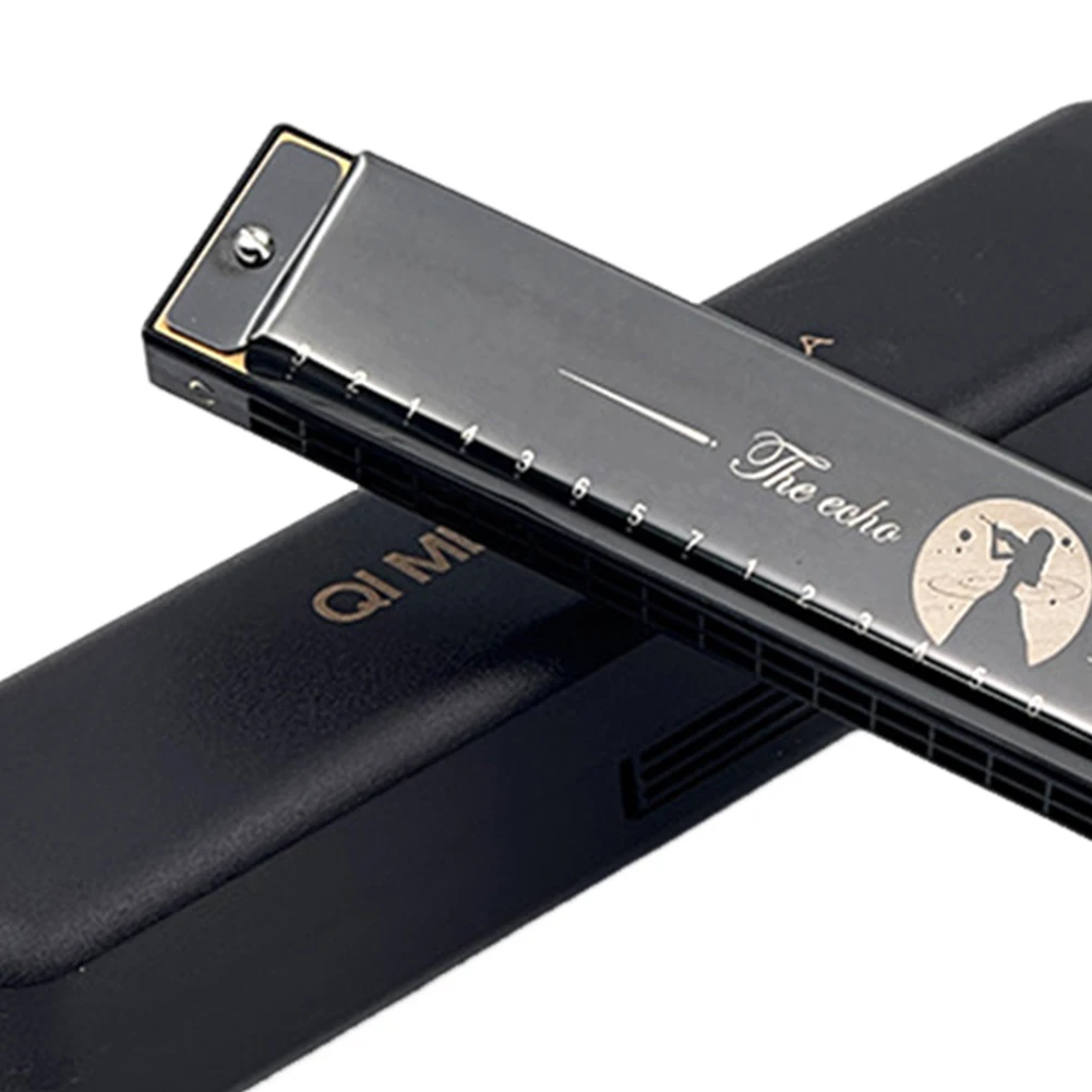 24 Holes Portable Harmonica C Key Standard Harmonica Professional Lightweight Musical Instrument Toy Party Favors