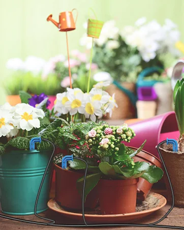 Ihr guter Pflanzenbutler