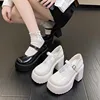 High Heels Mary Janes Shoes Autumn 2024 Patent Leather Heeled Shoes Woman Chunky Platform Ankle Strap Pumps for Women 1