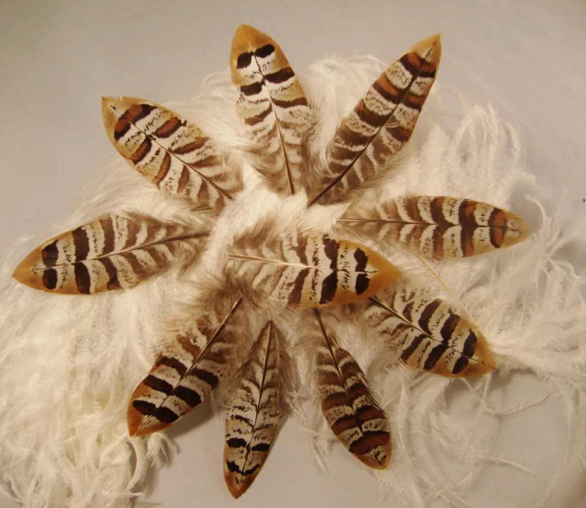 

Fly tying materials! 30Pcs/Lot! 5-9cm long NATURE REEVES VENERY PHEASANT SMALL WING FEATHERS,Loose Reeve Pheasant Quills