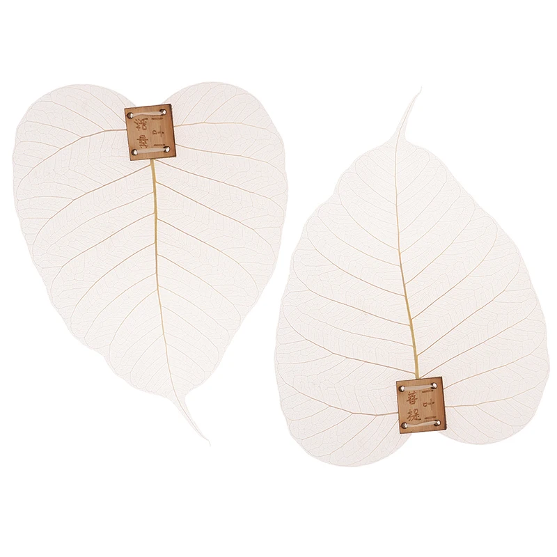 Tea Infuser Tea Strainer Tea Filter 1/2PCS Leaves Shape Tea Strainers Leaf Tea Filter Bodhi Leakage Kung Fu Infusers Access Hollow Out The Personality Filter