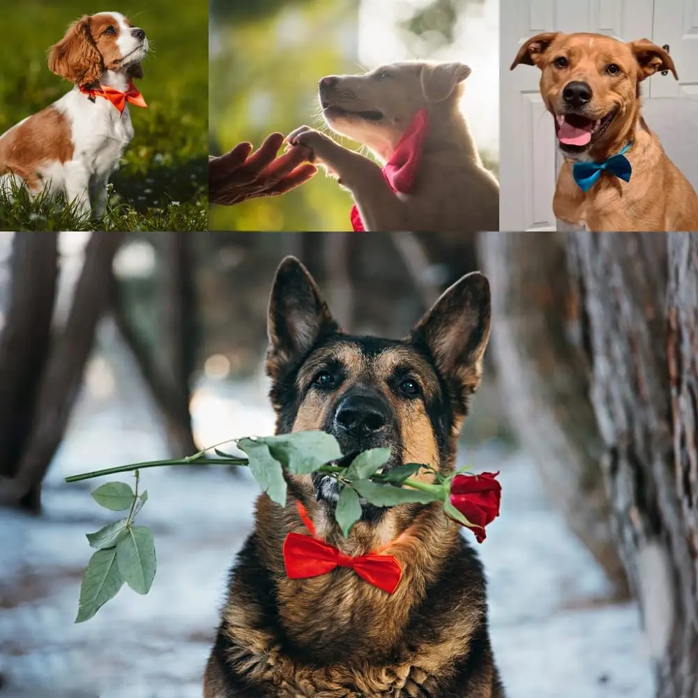 1pcs Pet Dog Tie Pets Bowknot Collars Grooming for Puppy Cat Dogs Necklace Bow Tie Adjustable Strap Pet Accessories 3