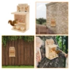 Wooden Squirrel Feeder Large Squirrel Feeders for Outside Squirrel House Sturdy Squirrel Feeder Enduring Squirrel Feeders Decor 5