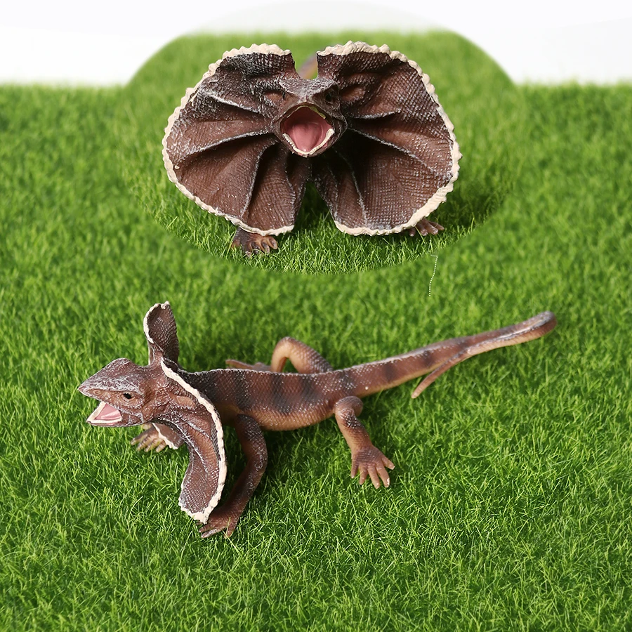 Realistico dipinto a mano animali anfibi modello Komodo drago barbuto drago  camaleonte lucertola figurina educativa per bambini - AliExpress, image size:900x900