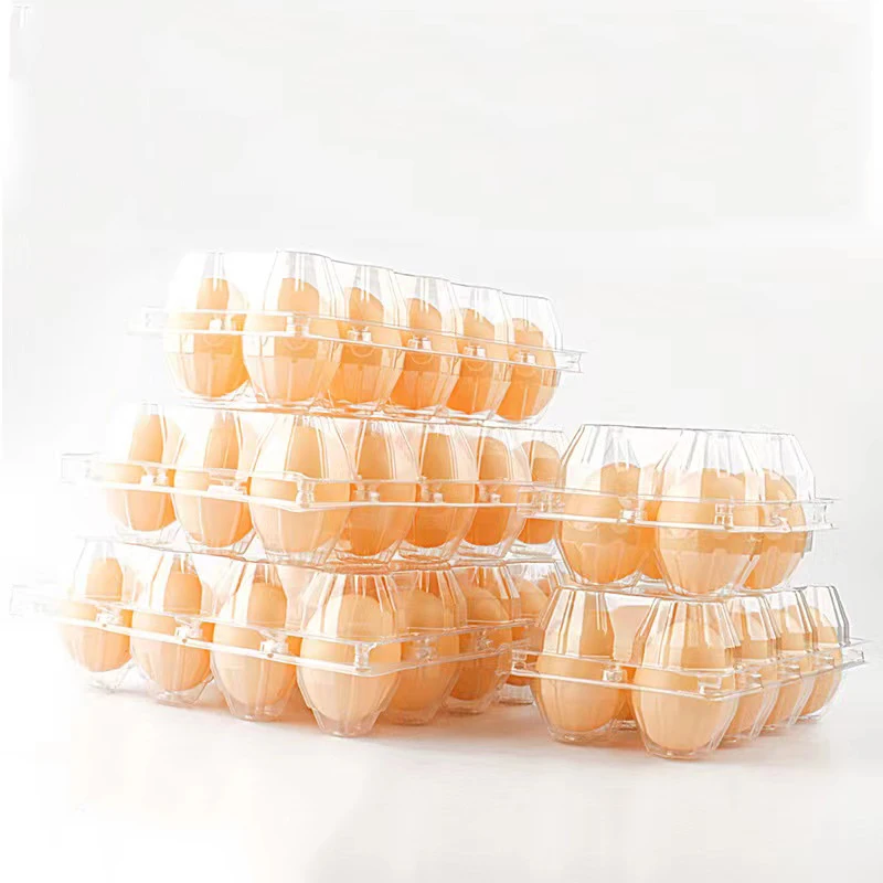10PCS/Pack Empty Transparent Disposable Plastic Egg Packaging Box With 4/6/8/10/12 Holes DIY Home Decor