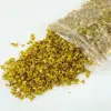 33ml Micro Landscape Leaves Sand Table Diorama Grass Tufts Accessories Miniature Leaf Static Model for Bonsai Fairy Garden Decor 5