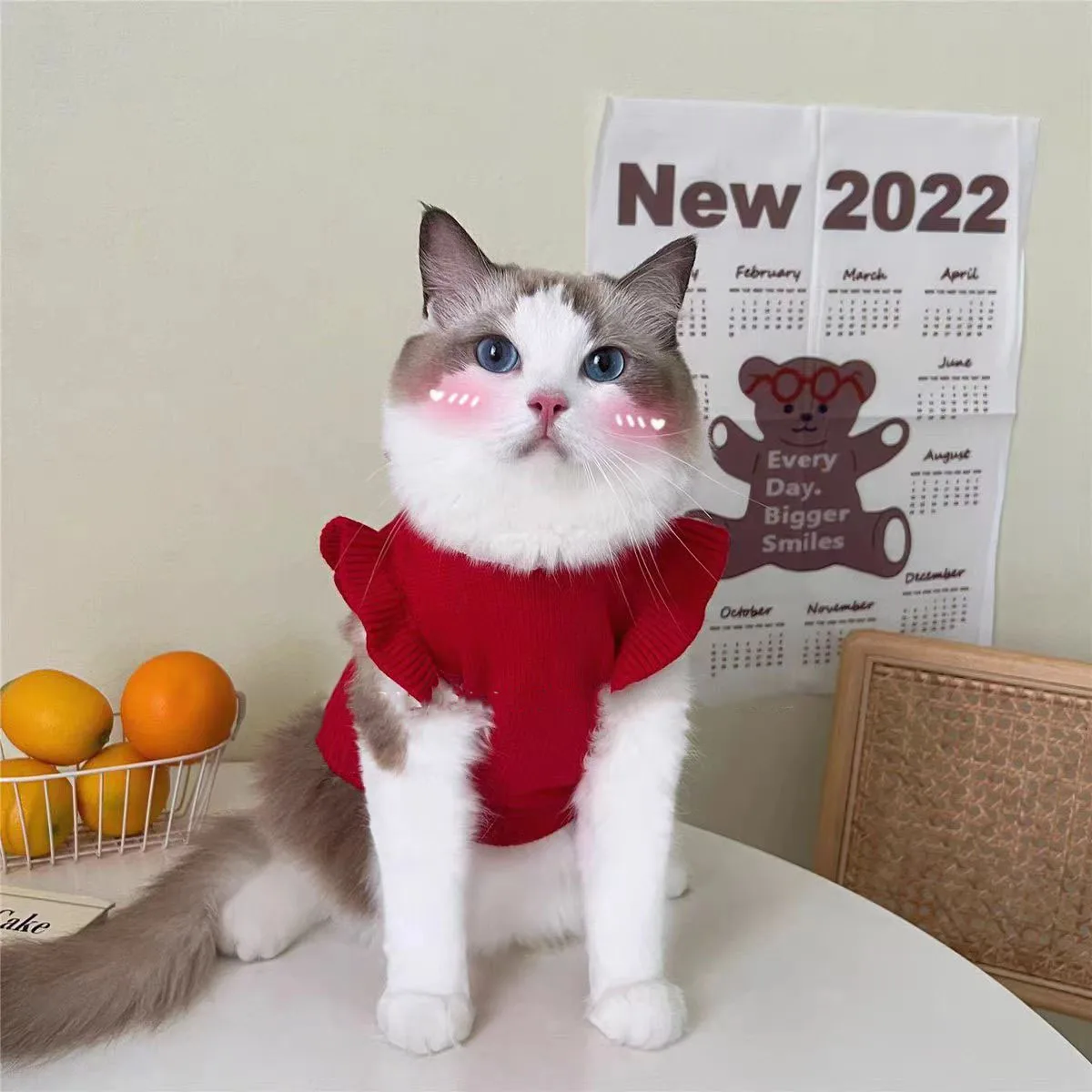 개 고양이 리본 공주 스웨터 - 새해 파티를 위한 따뜻한 겨울 애완동물 옷, 작은 개들을 위한 귀여운 축제 의상