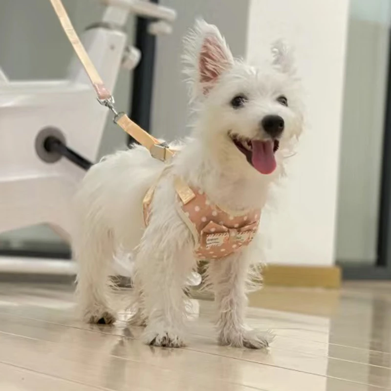 Cheaper Chihuahua Puppy Dog Vest Harness and Leash Set Adjustable